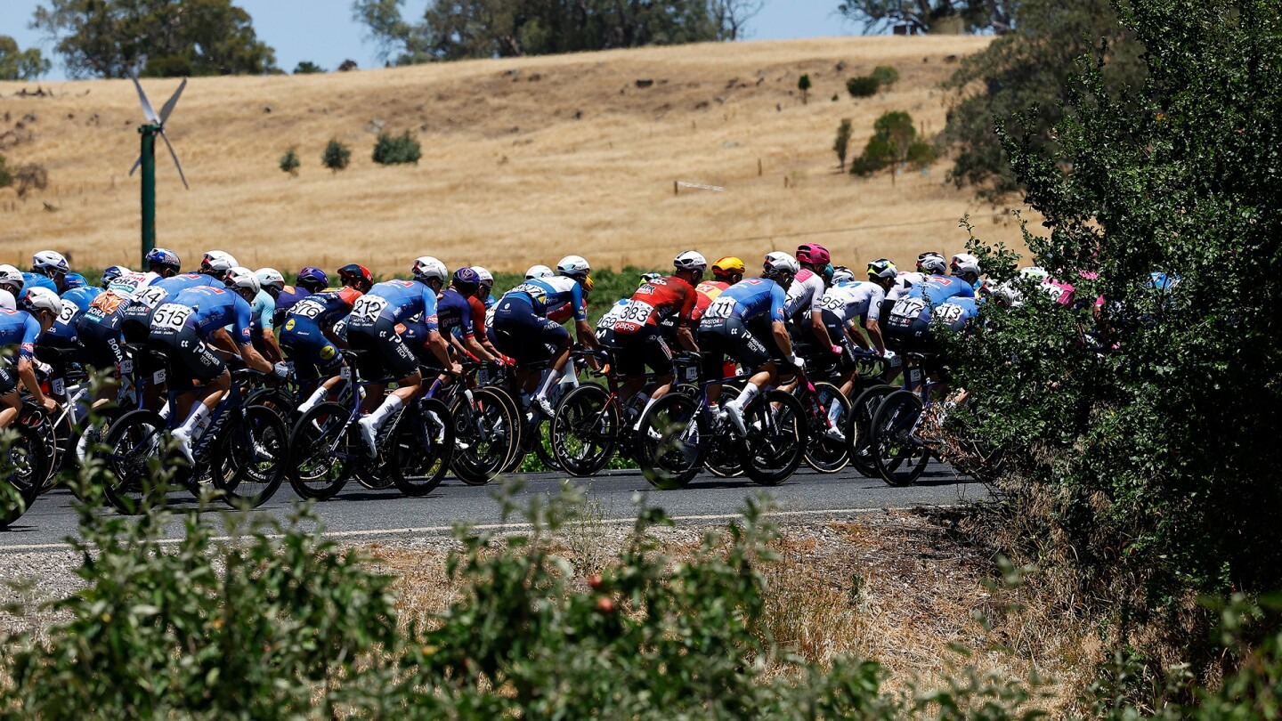 1769059326668272.jpg image.jpg