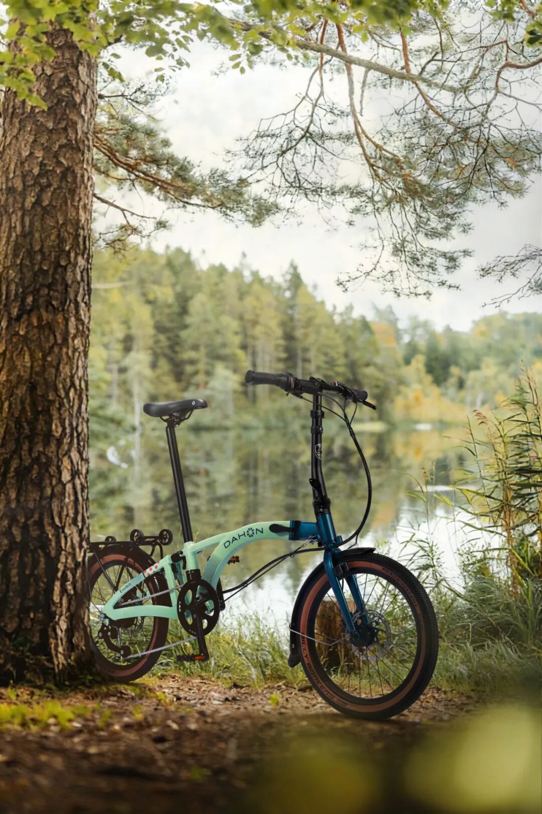 1769488788667882.jpg 640 (4).jpg