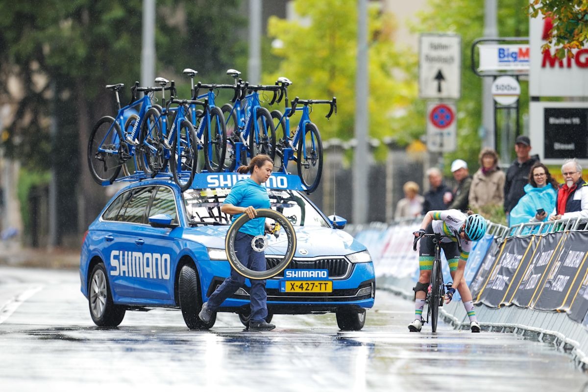 1771910882394052.jpg Image20241113140747.jpg