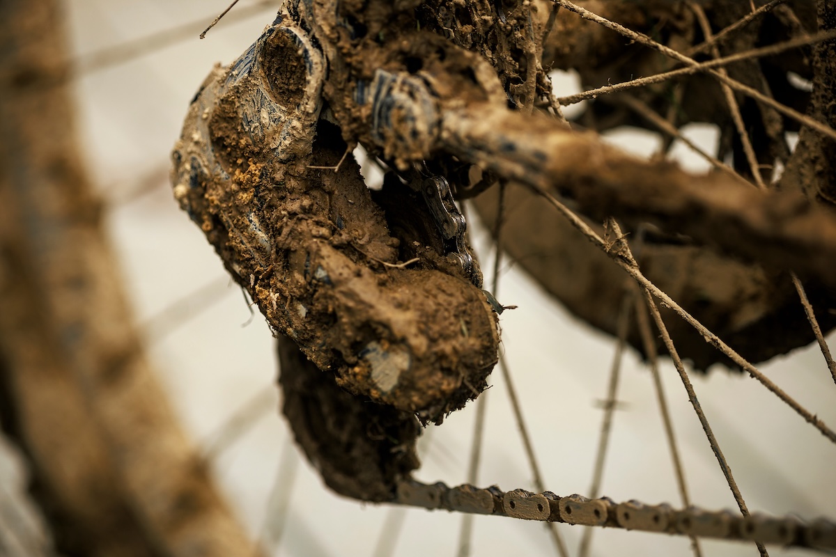 1771918336773033.jpg LesGets25__01_0002.JPG