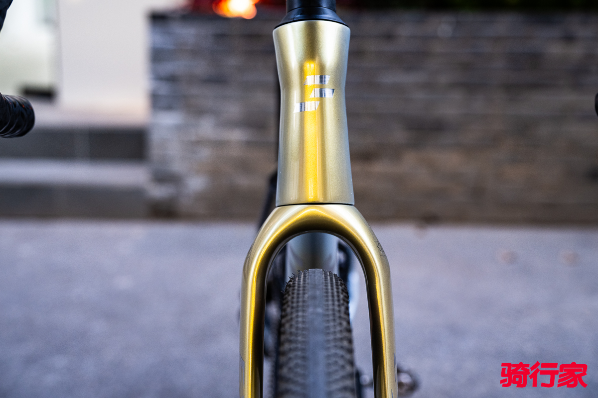 1773642695215902.jpg DSC_2003.jpg