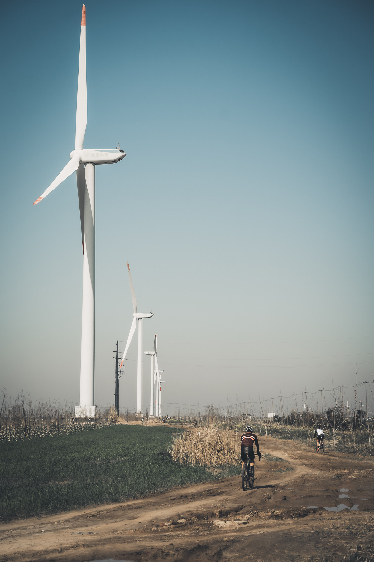 1774861272213729.jpg IMG_8186.jpg