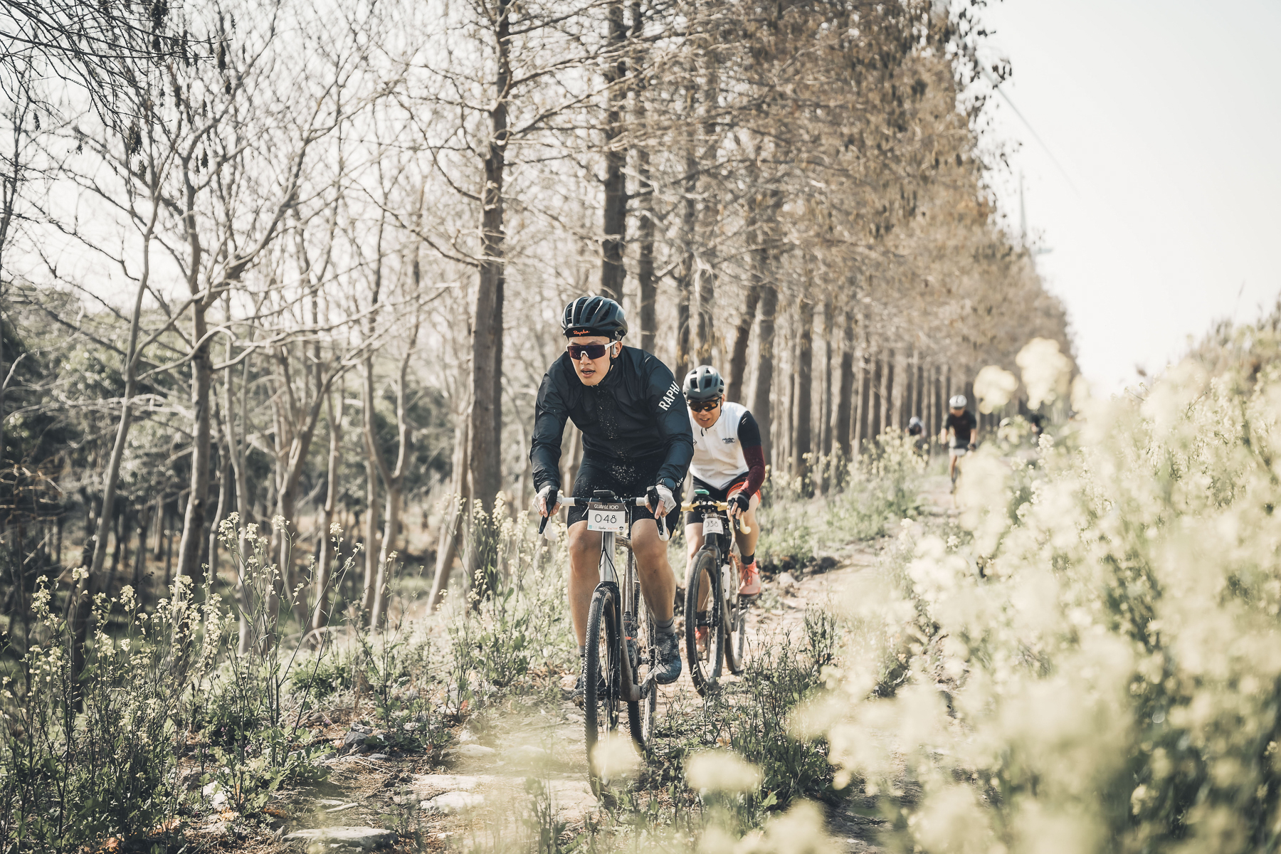 1774861326764037.jpg IMG_8188.jpg