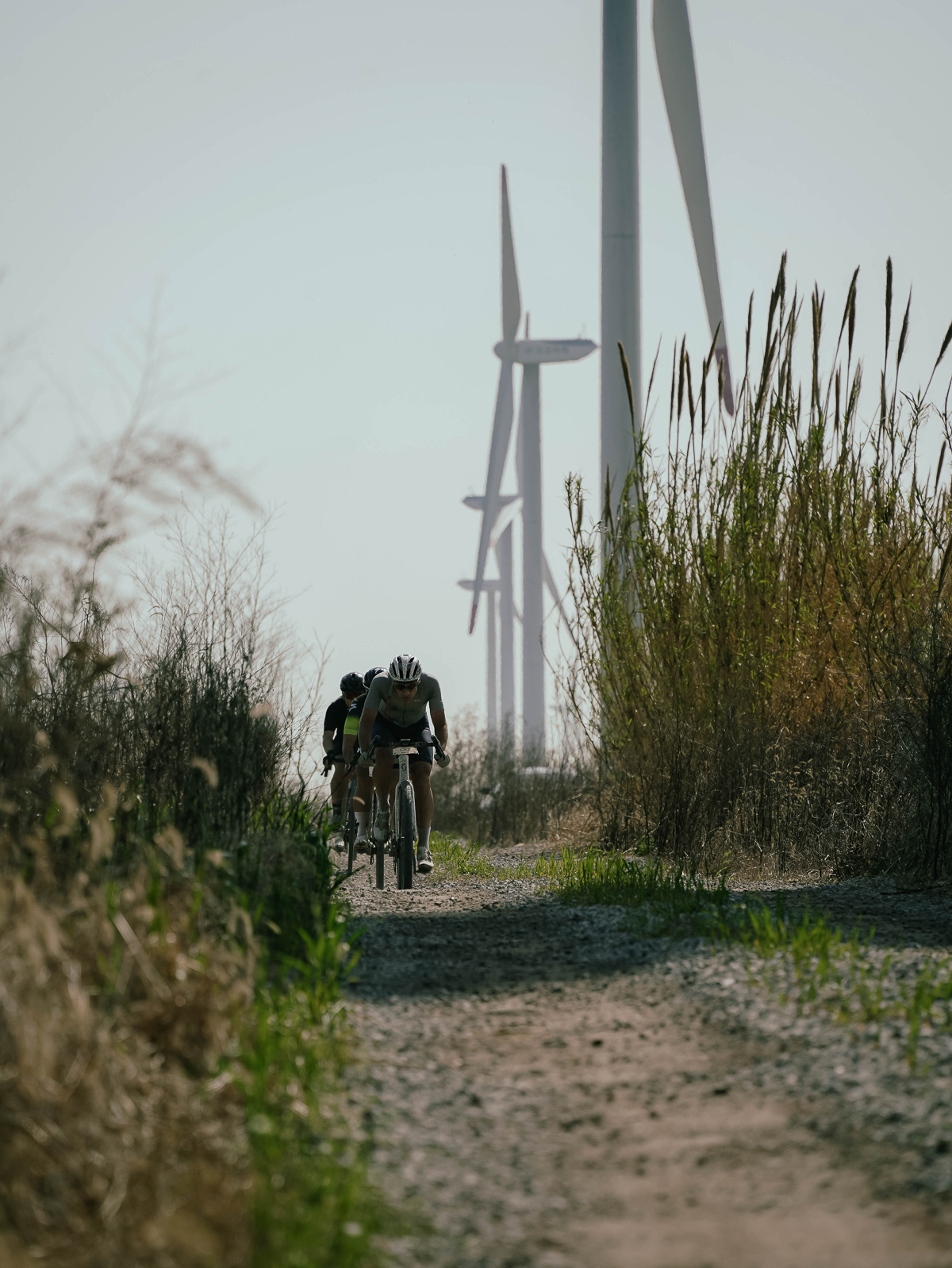 1774861420809785.jpg IMG_8196.jpg