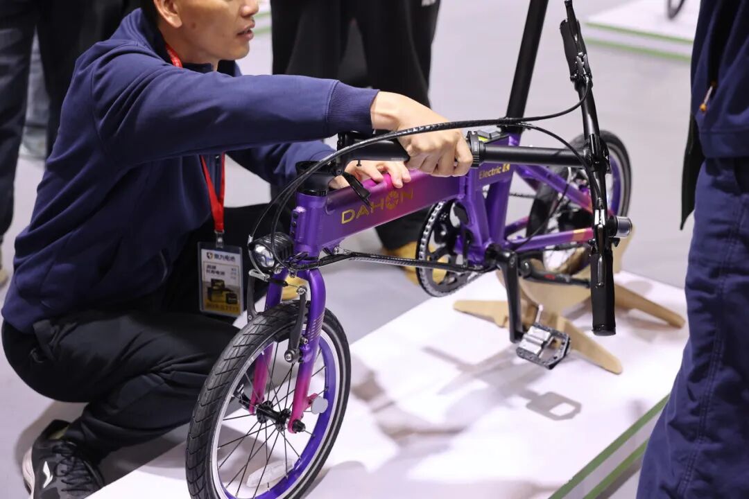 1774933529545097.jpg 640 (8).jpg