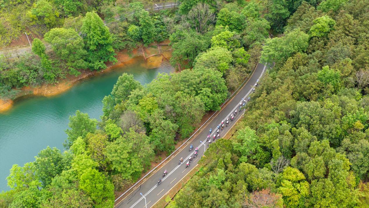 1776057658729833.jpg image010.jpg