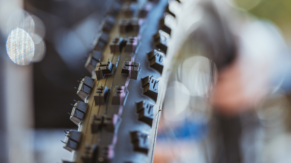 体系命名大调整！全新 Schwalbe 选购指南