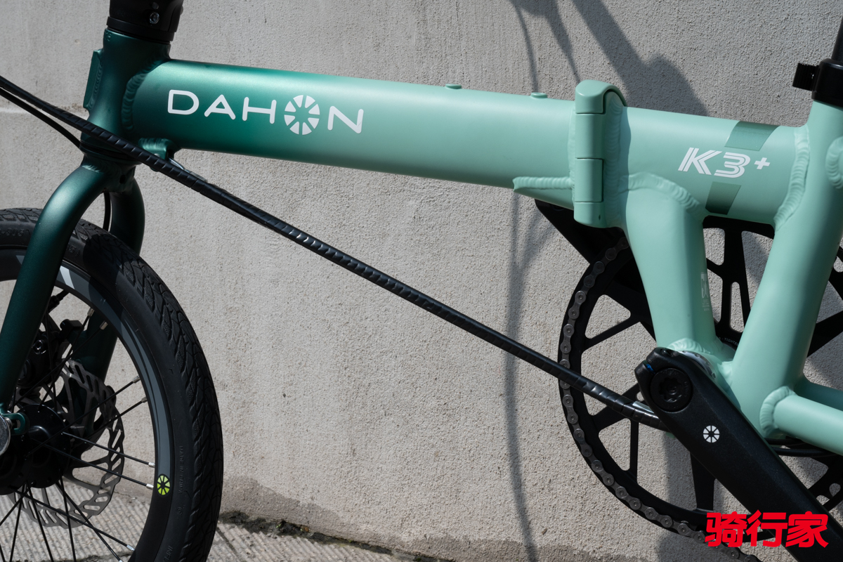 DSC_3203.jpg