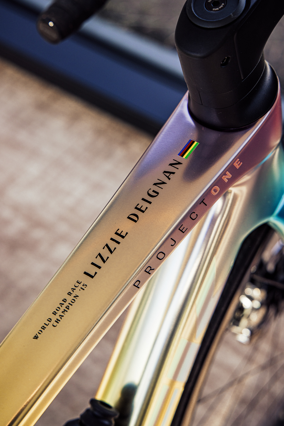 Farewell Bike-13.jpg