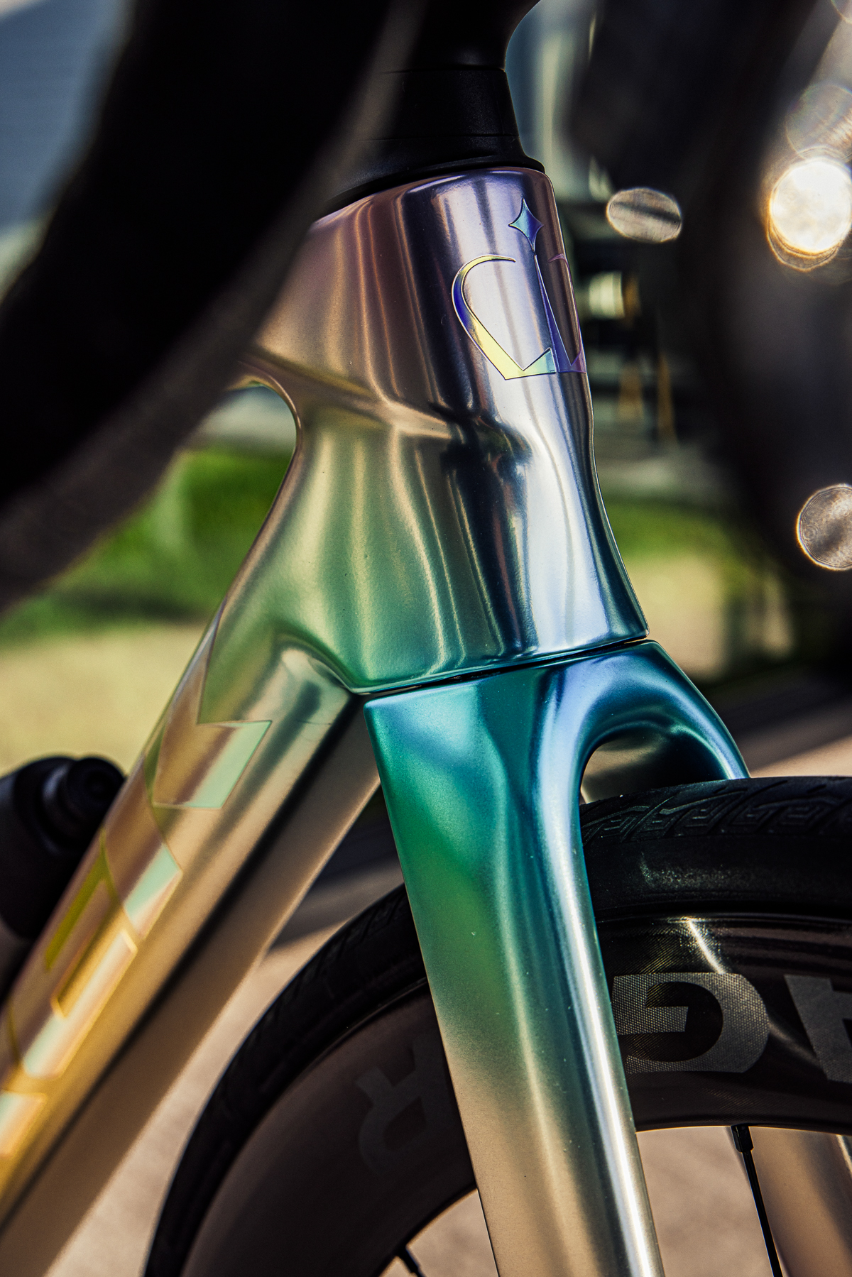 Farewell Bike-25.jpg