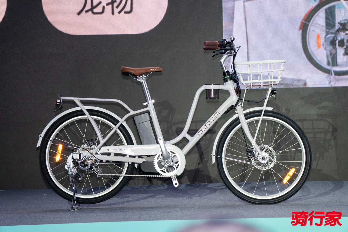 DSC03485.jpg