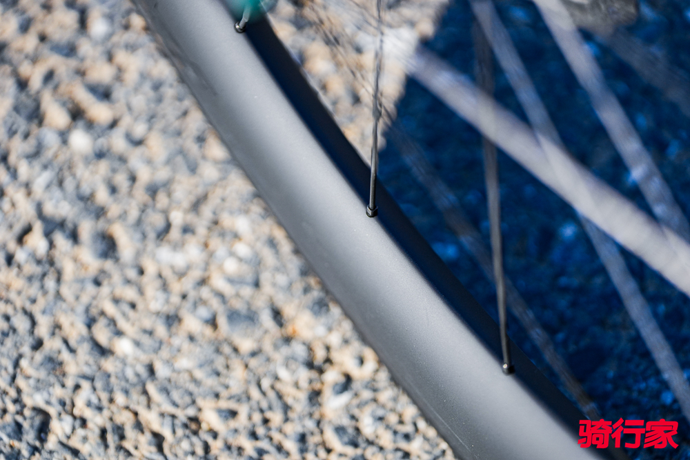 DSC03046.jpg